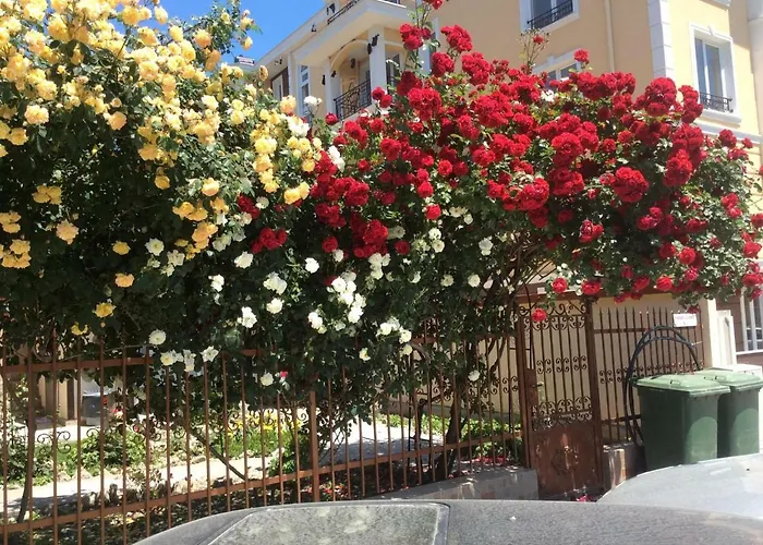 Διαμέρισμα Dunav Str.